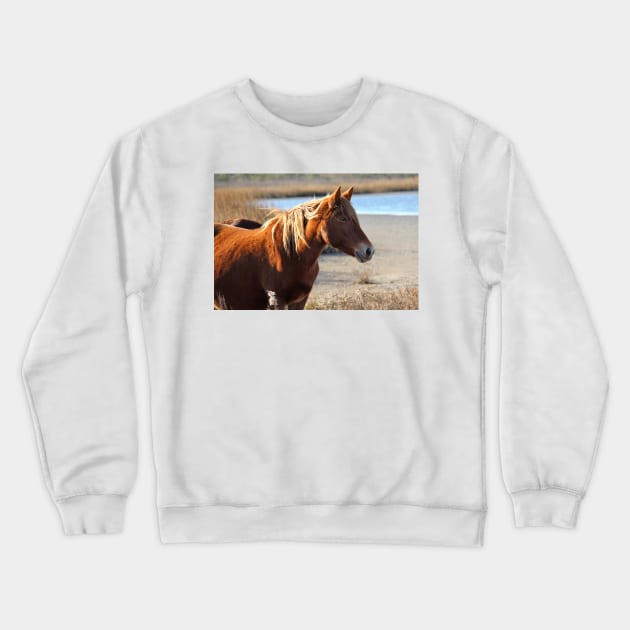 Assateague Beach Ponies - Series - 05 Crewneck Sweatshirt by searchlight